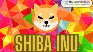 Photo of Shiba Inu Says Get Ready for an Exciting Transformation